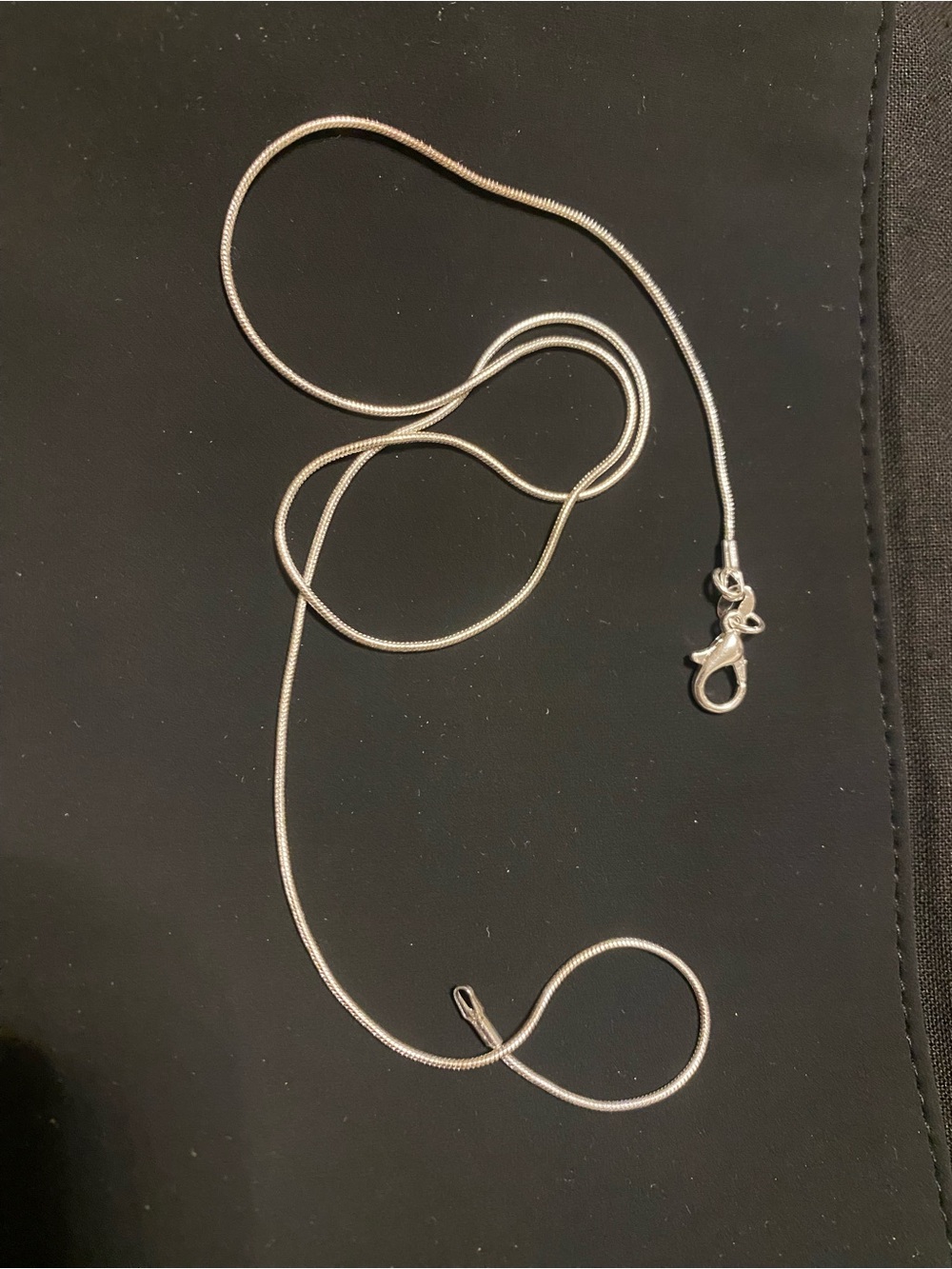 Sterling Silver Snake Chain Necklace - Silver